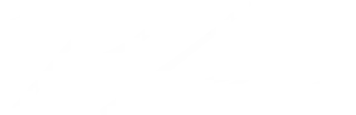 CEO signature