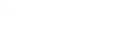 CEO signature